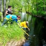  Analyse de la qualité de l'eau de la rivière